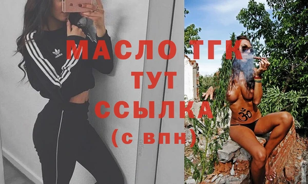 дмт Пересвет