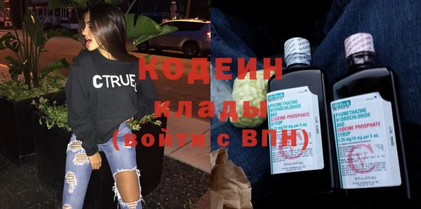 дмт Пересвет
