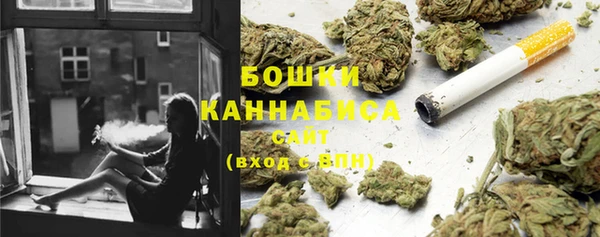 дмт Пересвет