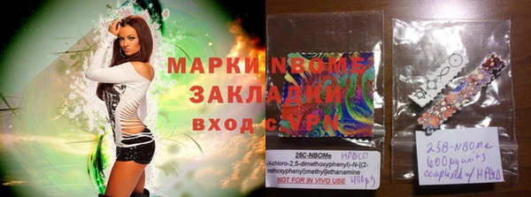 дмт Пересвет