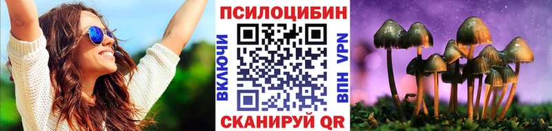 ссылка на мегу рабочий сайт  Красноармейск  Галлюциногенные грибы мицелий 