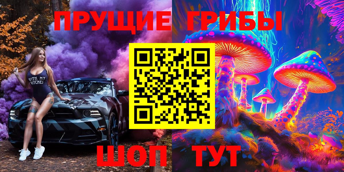 Красноармейск  Псилоцибиновые грибы Psilocybine cubensis  даркнет сайт  Псилоцибиновые грибы мицелий  Вход с VPN 