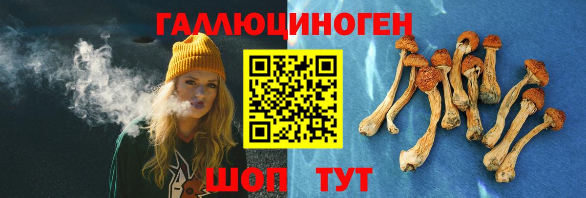 Псилоцибиновые грибы ЛСД Красноармейск